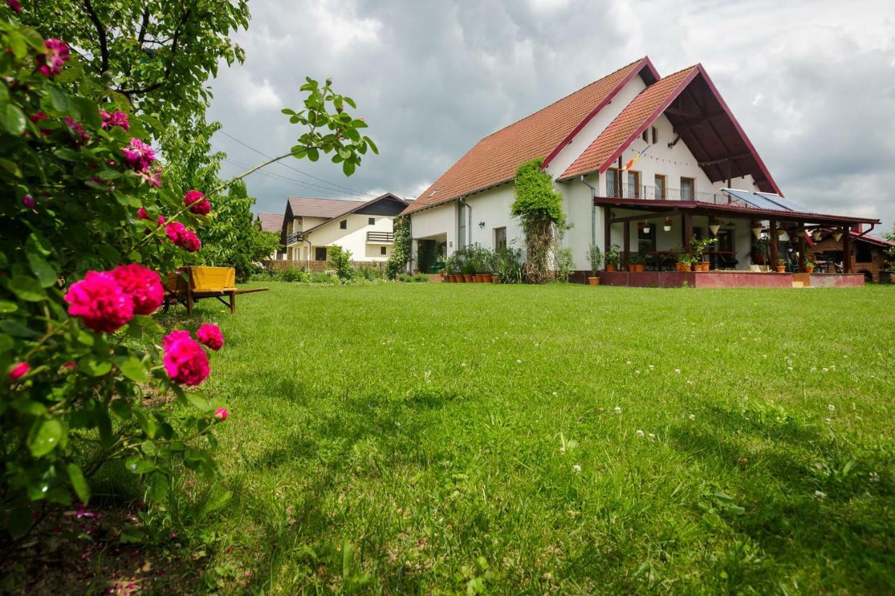 Casa Florilor Hotel Curtea De Arges Ngoại thất bức ảnh