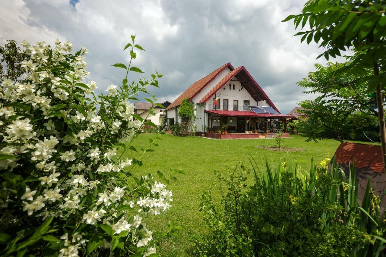 Casa Florilor Hotel Curtea De Arges Ngoại thất bức ảnh