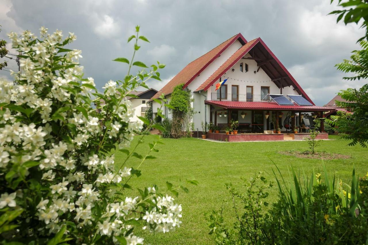 Casa Florilor Hotel Curtea De Arges Ngoại thất bức ảnh