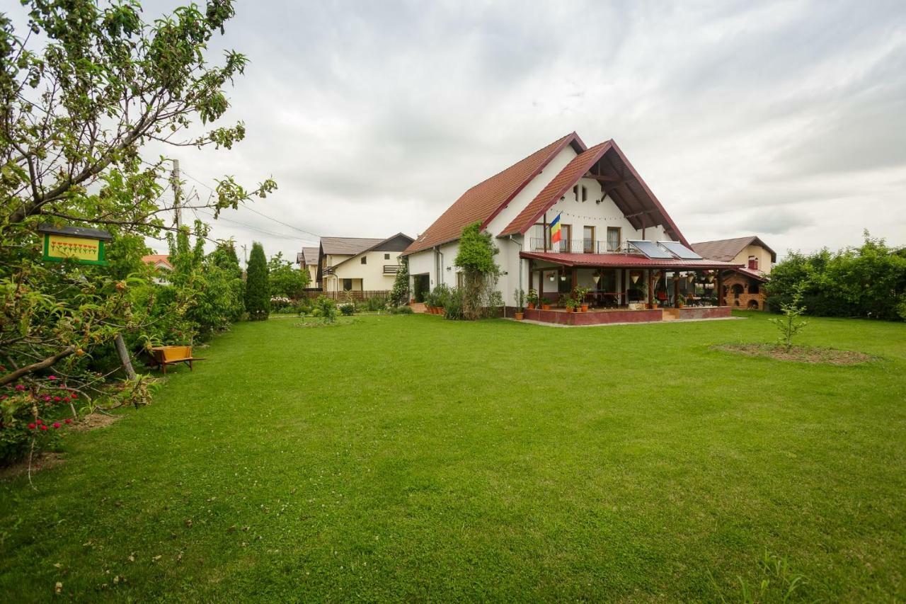 Casa Florilor Hotel Curtea De Arges Ngoại thất bức ảnh